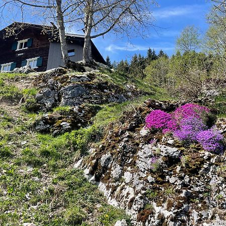 Alpenchalet Piz Huesli Чаґґунс Екстер'єр фото