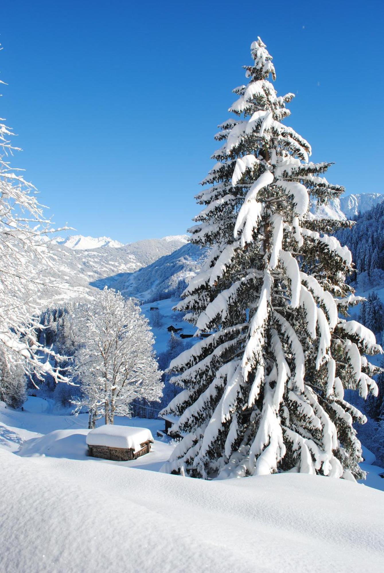 Alpenchalet Piz Huesli Чаґґунс Екстер'єр фото