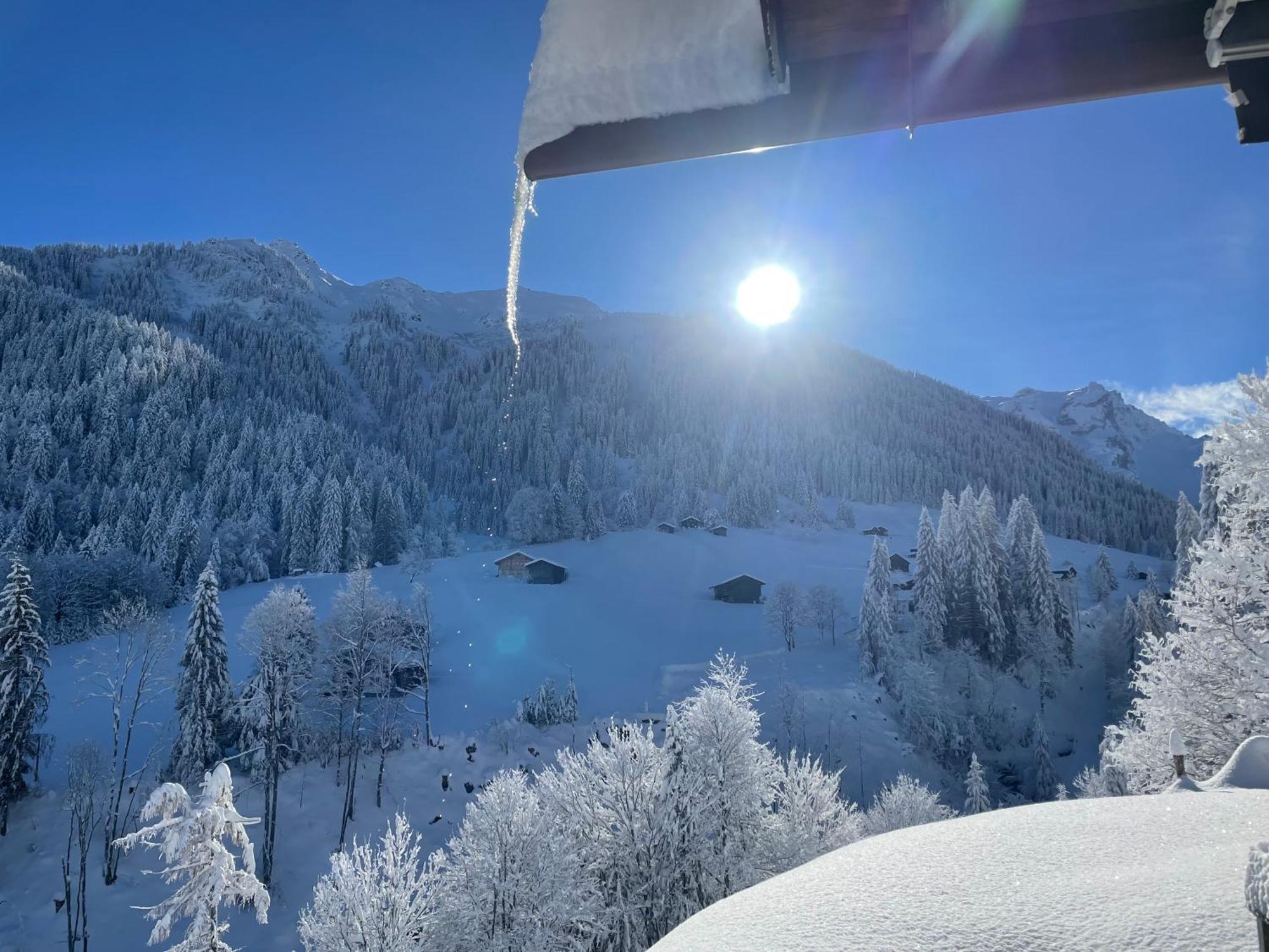 Alpenchalet Piz Huesli Чаґґунс Екстер'єр фото