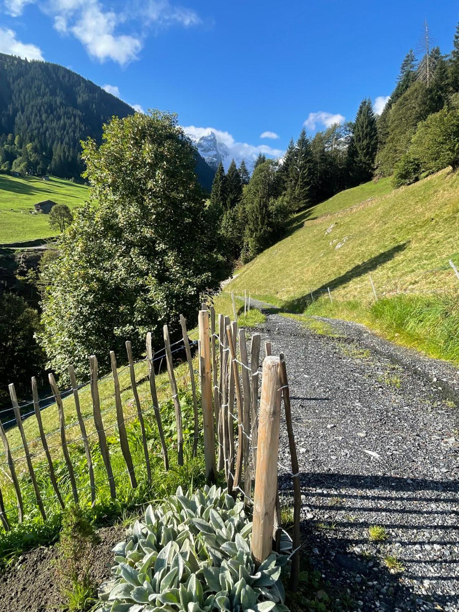 Alpenchalet Piz Huesli Чаґґунс Екстер'єр фото