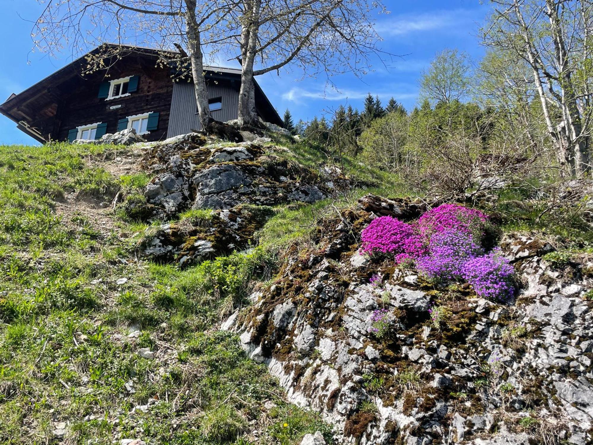 Alpenchalet Piz Huesli Чаґґунс Екстер'єр фото